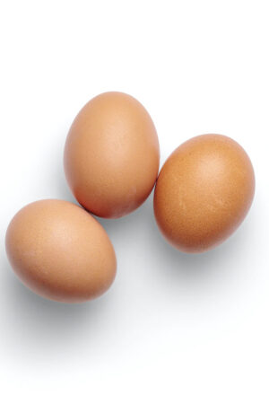 eggs